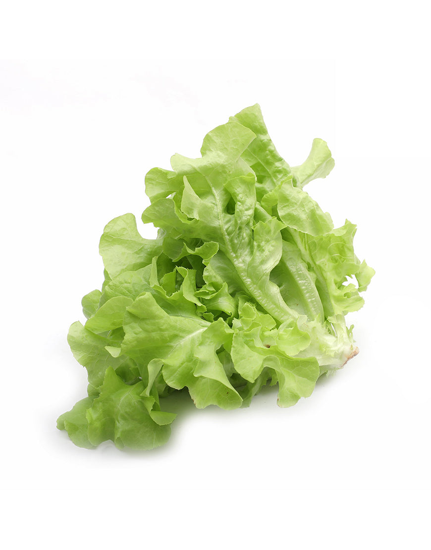Sample Pepino Vegetable