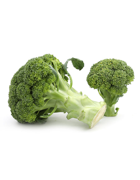 Blue Lace Long Sleeve Dress