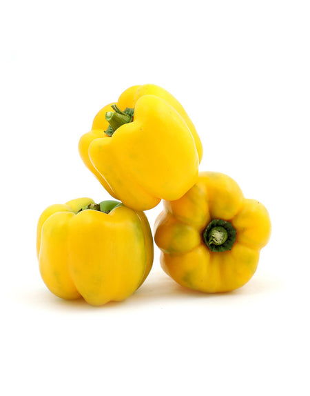 Sample Pepino Vegetable